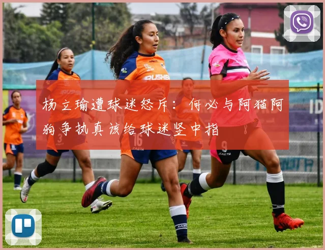 杨立瑜遭球迷怒斥：何必与阿猫阿狗争执真该给球迷竖中指